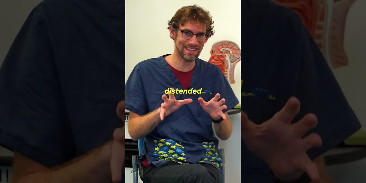 Emotional Eating: Relationship Between Depression and Appetite