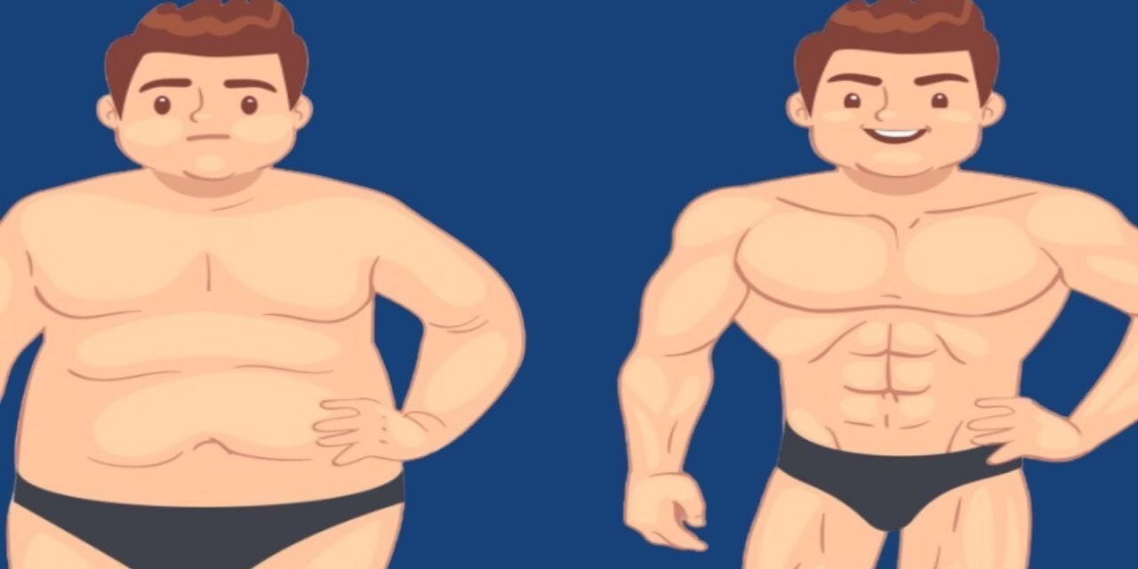 Fat loss without tracking calories (NO BULLSH*T GUIDE TO FAT LOSS)