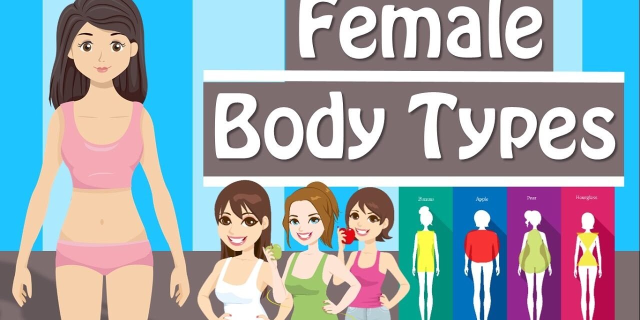 Female Body Types And Body Shapes  Different Body Types Women Have