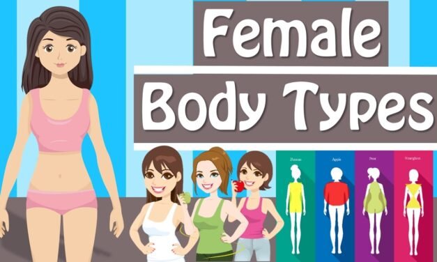 Female Body Types And Body Shapes  Different Body Types Women Have
