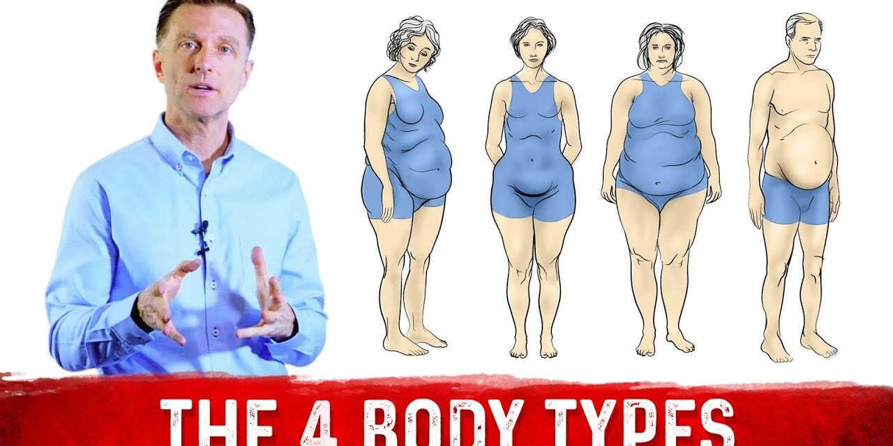 What Are The 4 Body Types?: Dr.Berg Explains Different Body Types & Belly Fat