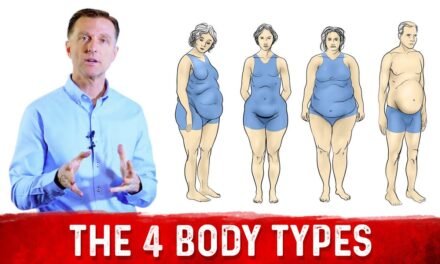 What Are The 4 Body Types?: Dr.Berg Explains Different Body Types & Belly Fat