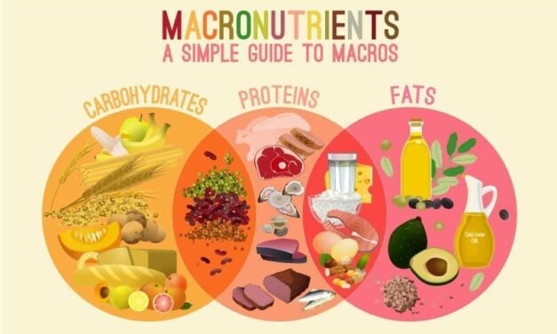 What Nutrition Experts Want You to Know About Carbs, Fats, and Protein