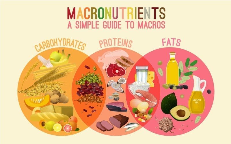 What Nutrition Experts Want You to Know About Carbs, Fats, and Protein