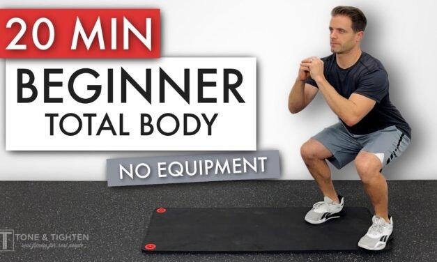 20 Min FULL BODY Workout For BEGINNERS (No Equipment)