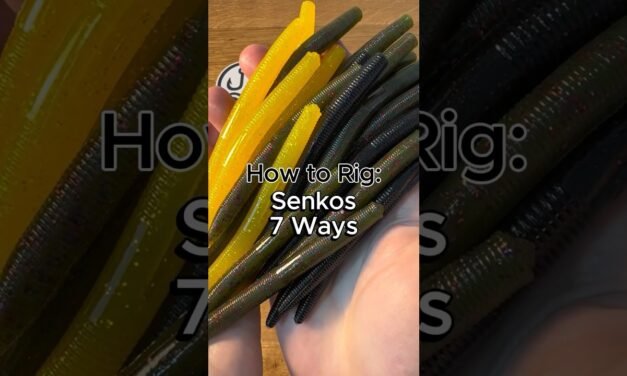 How to Rig a Senko 7 Ways #fishing #fishingtips #howto #bassfishing #largemouthbass #senko