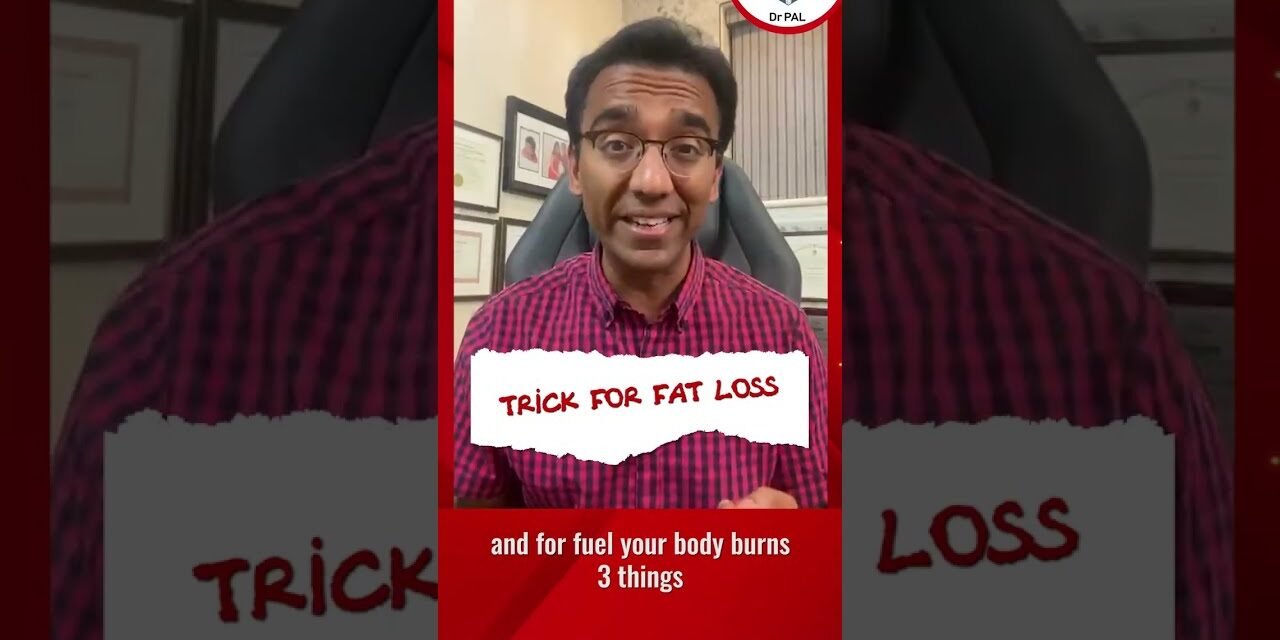 How to burn fat for free? | Dr Pal