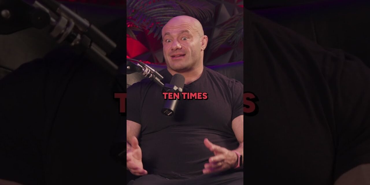 The BEST Diet For Fat Loss