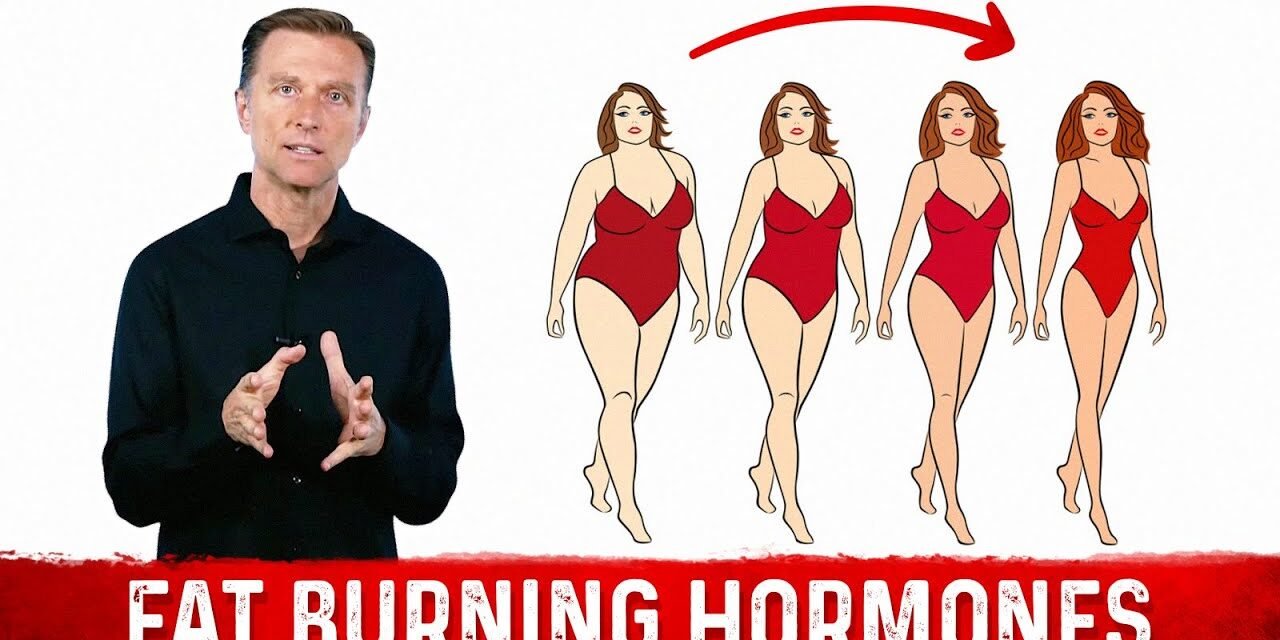 Dr. Berg explains "What are Fat Burning Hormones?" in a Simpler Way