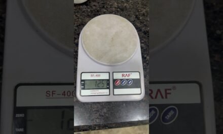 Flax vs Chia: Complete Nutrition Comparison for Weight Loss & Hormones