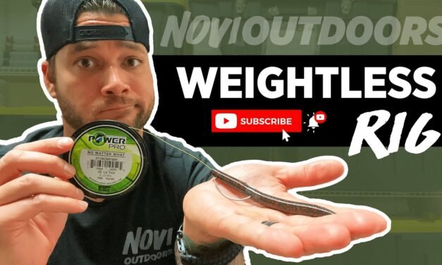 Weightless Rig | Fishing Rigs for Beginners
