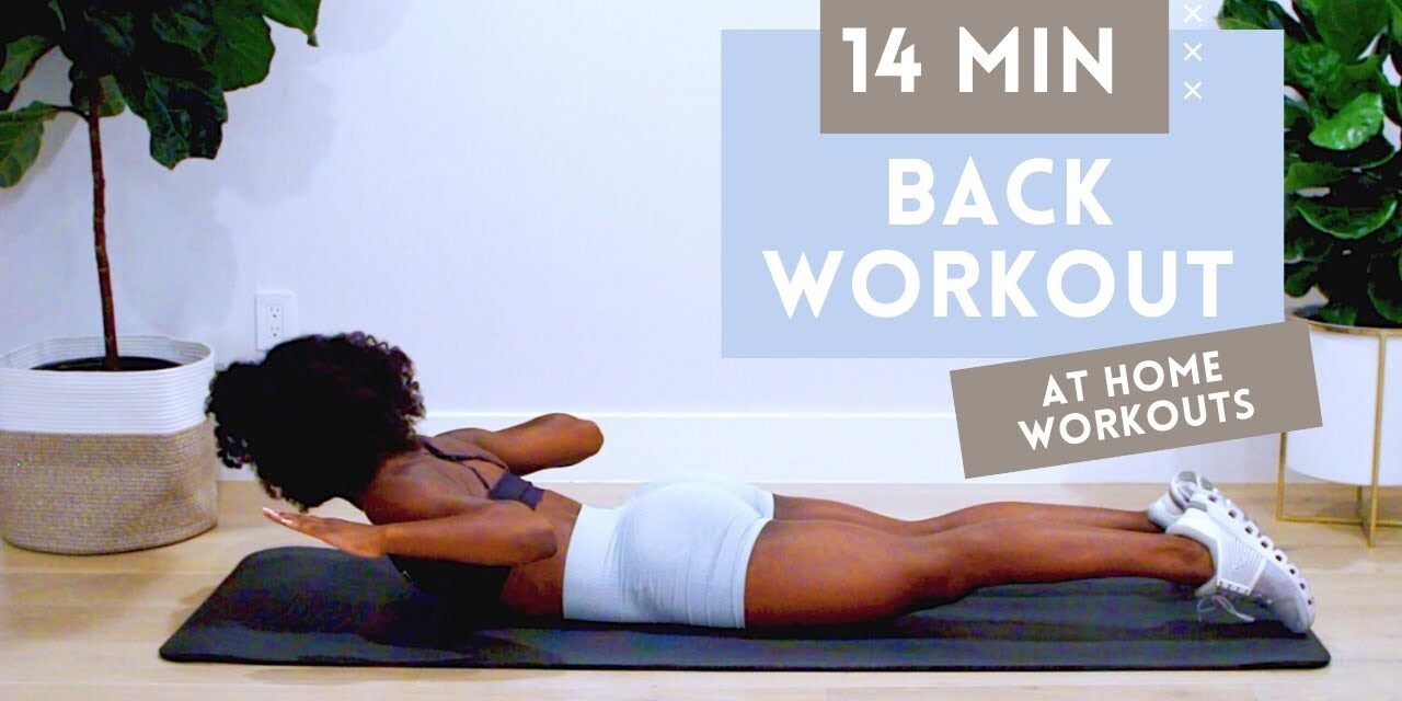 14 MINUTE BACK WORKOUT FOR STRONGER BACK + BETTER POSTURE | NO EQUIPMENT | BEGINNER + INTERMEDIATE