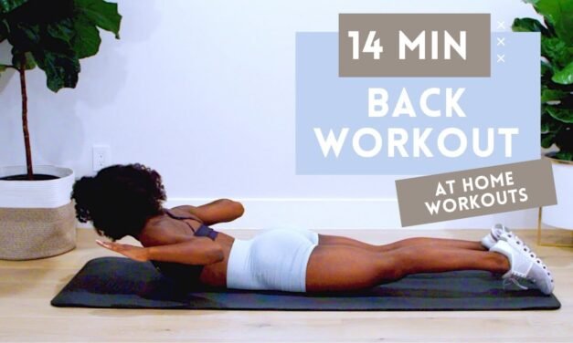 14 MINUTE BACK WORKOUT FOR STRONGER BACK + BETTER POSTURE | NO EQUIPMENT | BEGINNER + INTERMEDIATE