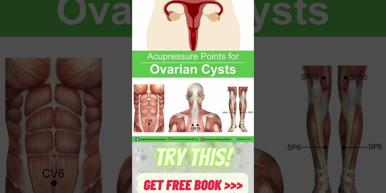 Acupressure Points for Ovarian Cysts #shorts #acupressure #ovariancysts #wellness #massage