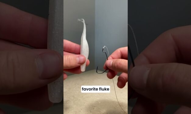 Best Pond Lure for BASS!? #bassfishinglures #fishing #shorts #fishingtips #bassfishing #bass