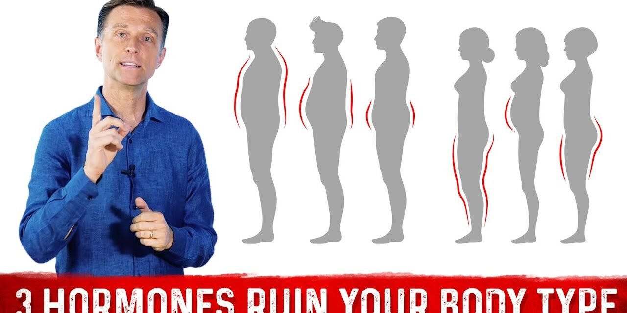 Dr.Berg explains 3 Hormones that Affect your Body Shape & Weight Loss