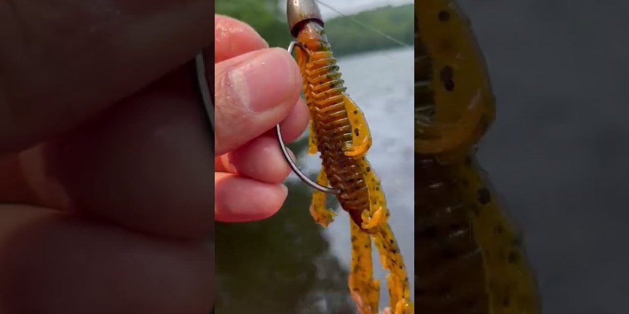 the ONLY setup you need to know as a Beginner