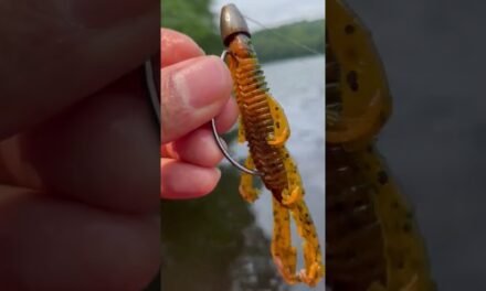 the ONLY setup you need to know as a Beginner