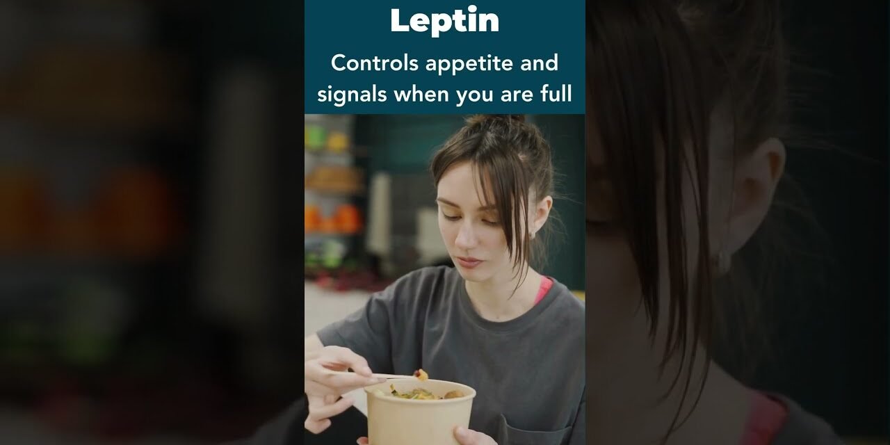 Role of Hormones in Weight Loss