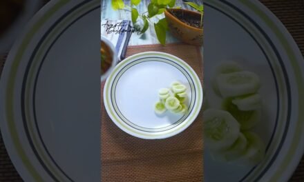 Weight loss recipe – healthy lunch plate