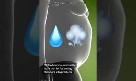 What happens to fat when you lose weight is pretty wild.