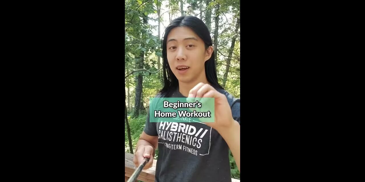 Beginner Home Workout