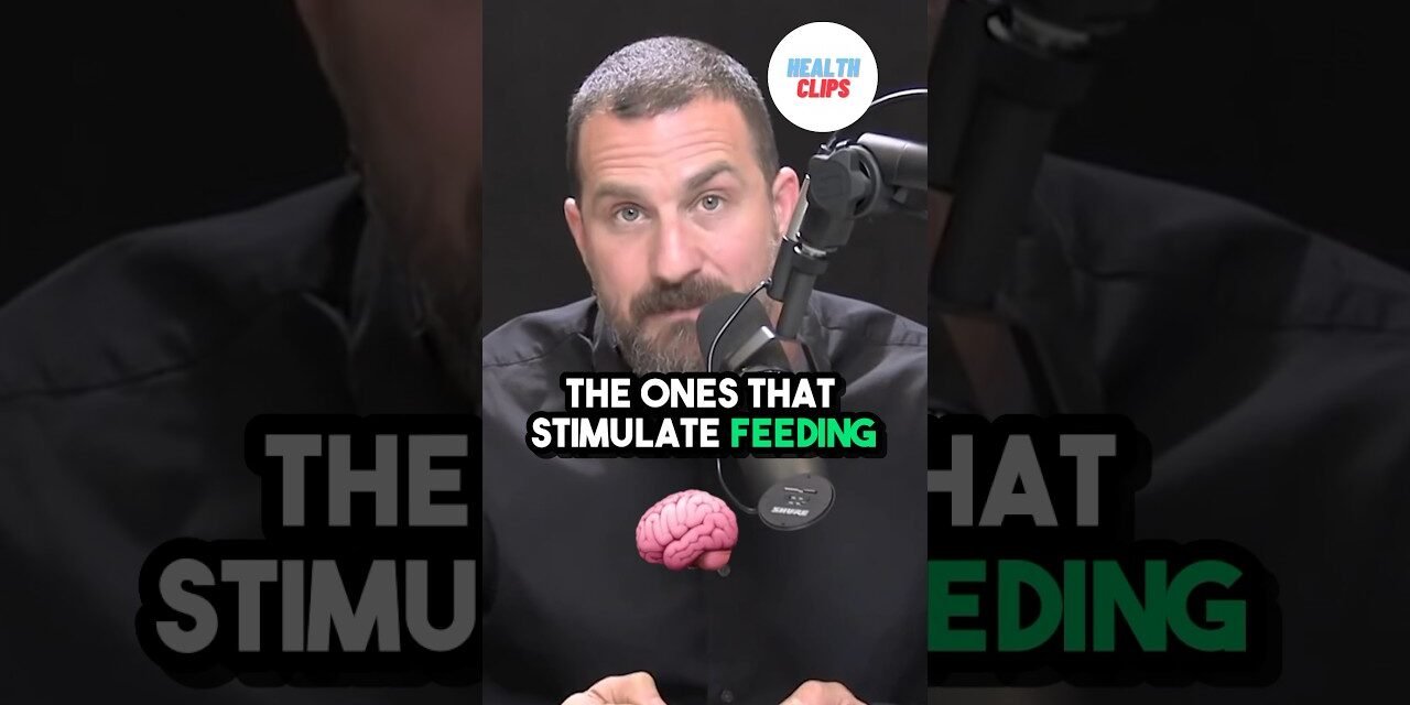 Emotional eating explained by neuroscientist – Andrew Huberman #shorts