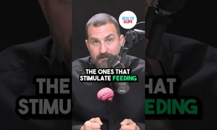 Emotional eating explained by neuroscientist – Andrew Huberman #shorts