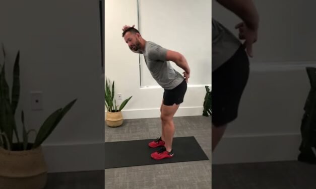 Best Move For A Stronger Lower Back #shorts