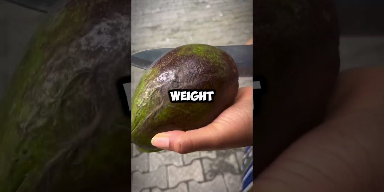 The Avocado Effect: How Eating One Daily Can Transform Your Health