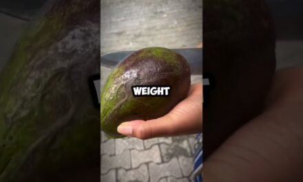 The Avocado Effect: How Eating One Daily Can Transform Your Health