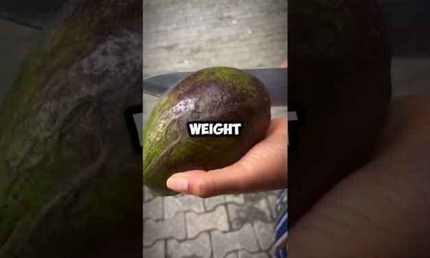 The Avocado Effect: How Eating One Daily Can Transform Your Health