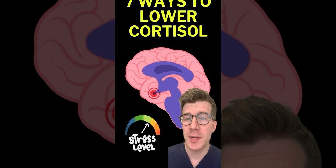 How to reduce cortisol – Doctors 7 tips #shorts