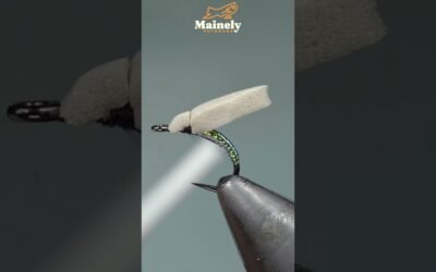 World’s MOST Popular Dry Fly Just Got Better!