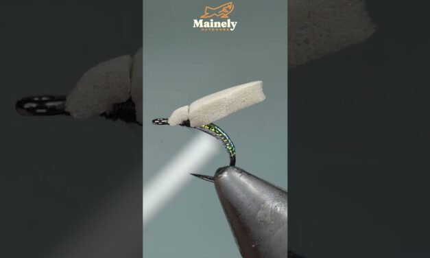 World’s MOST Popular Dry Fly Just Got Better!