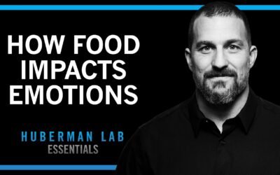 How Foods & Nutrients Control Our Moods | Huberman Lab Essentials