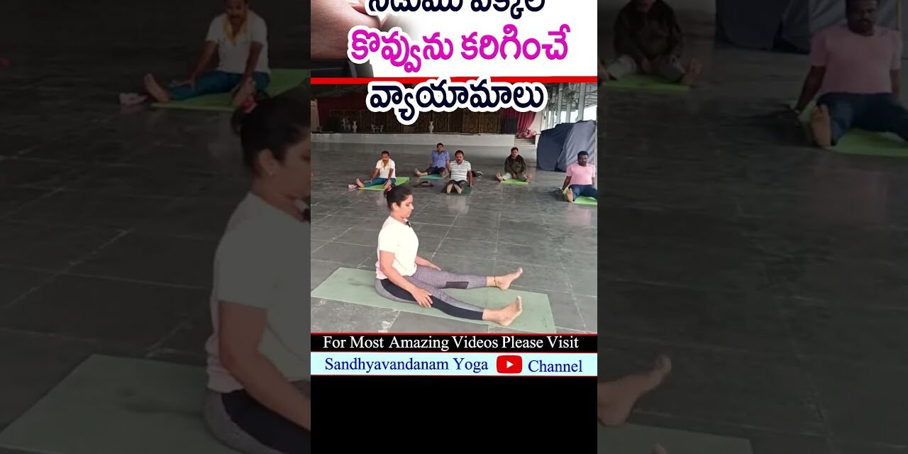 Side Fat Burning Exercises In Telugu | belly fat | shorts